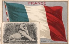 Carte photo lion d'occasion  Jassans-Riottier