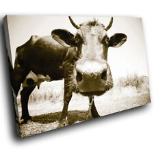 A104 sepia cow for sale  STRABANE