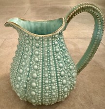 Pitcher sea urchin for sale  Pensacola