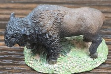Buffalo wild animal for sale  Holiday