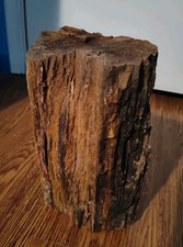 Natural 16lbs petrified for sale  Huachuca City