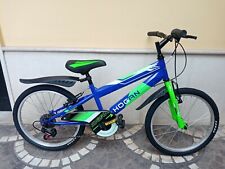 Bicicletta mountain bike usato  Maddaloni