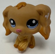 lps cocker spaniel for sale lps cocker spaniel for sale Londonderry