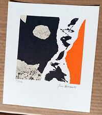 Morandis gino serigrafia usato  Vittuone
