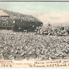 C1910s los angeles d'occasion  Expédié en Belgium