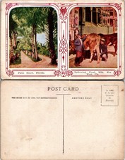 Usado, Cartão postal de entrega de leite fresco Palm Beach Florida Path Key West comprar usado  Enviando para Brazil
