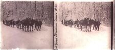 Plaque photo stereo d'occasion  Voiron