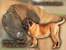 English mastiff english for sale  Shipping to Ireland