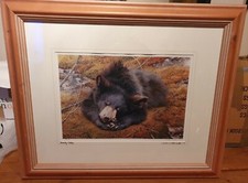 Carl brenders bearly for sale  NEWTON ABBOT