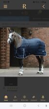 Saxon horse pony for sale  TORQUAY