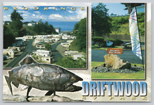Postcard driftwood park for sale  San Jose
