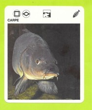 Fiche livre paris d'occasion  Nancy-