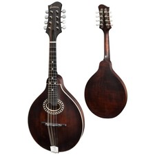 Eastman md304 gebraucht kaufen  Walldorf