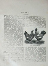 Original old antique for sale  UK