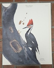 Ray harm pileated for sale  Simpsonville