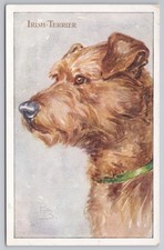 Vintage irish terrier for sale  MANCHESTER
