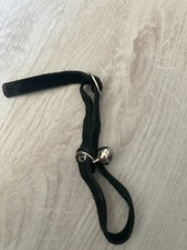 Halsband katze glöckchen gebraucht kaufen  Worms