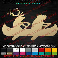 Elk bear canoe for sale  Ruidoso