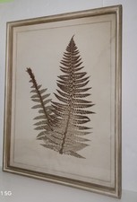 print fern framed for sale print fern framed for sale Palmetto
