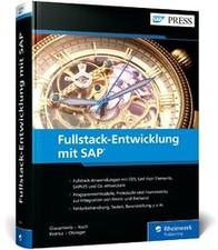 Fullstack entwicklung sap gebraucht kaufen  Berlin