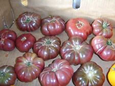 Tomato purple calabash d'occasion  Expédié en Belgium