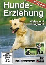 Hundeerziehung system welpe gebraucht kaufen  Berlin