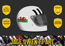 Tom pryce helmet for sale  WHITLAND