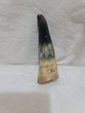 Cow horn crook for sale  STOKE-ON-TRENT