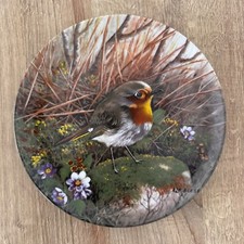 Robin side road for sale  CHESTER