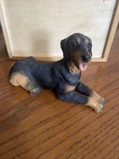 Doberman pinscher dog for sale  SOUTHEND-ON-SEA