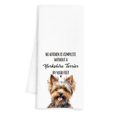 Yorkshire terrier dog for sale  Joliet