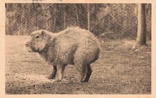 Cleres parc zoologique d'occasion  Expédié en Belgium
