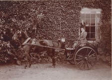 Horse photograph pony for sale  BATH