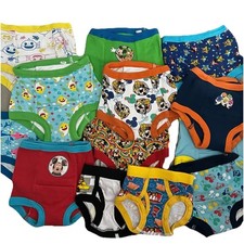 Lot toddler potty for sale  Sagamore