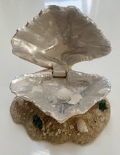 Aquarium shell clam for sale  NEWPORT