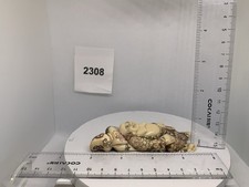 4202308 netsuke carved for sale  Santa Monica