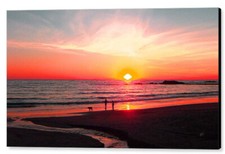 Bright sunset x36 for sale  High Point