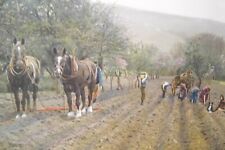 Heavy horse farming for sale  ALFORD