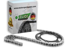 Kettensatz dinli 901 gebraucht kaufen  Gammertingen