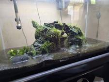 Gallon glass led for sale  Los Angeles
