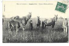Songeons haras limermont d'occasion  Toulon-