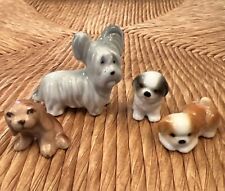 terrier puppies for sale terrier puppies for sale Warren