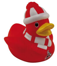 Köln badeente winter gebraucht kaufen  Laufenburg (Baden)