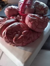 Gehirnmodell physa phy gebraucht kaufen Gehirnmodell physa phy gebraucht kaufen  Friedrichshafen