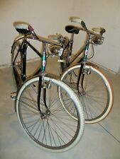 Bicicletta fantastica coppia usato  Wolkenstein in Groeden