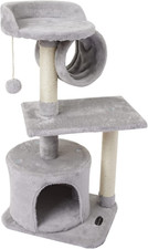 Us01h cute cat for sale  Plano