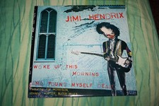 Jimi hendrix woke usato  Genova