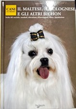 Libro maltese bolognese usato Libro maltese bolognese usato  Civitanova Marche