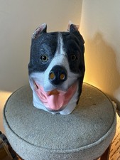 Bully dog head for sale  Katy