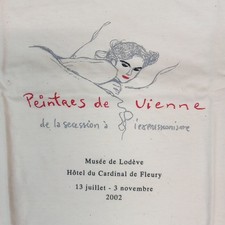 Hanes vintage shirt usato  Villanova Solaro